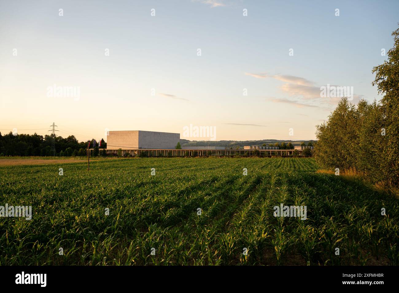 Das Krzysztof Penderecki European Centre for Music Concert Hall in Lusławice verbindet minimalistisches Design harmonisch mit der ländlichen Landschaft Stockfoto