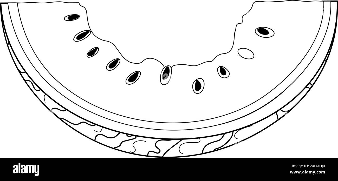 Wassermelonenrinde Art. Gebissene Wassermelonenscheibe mit Schale und Fleisch mit schwarzen Samen. Handgezeichnete, trendige Schwarzweiß-Malseite im Doodle-Stil. Organische Abfälle. Vektorabbildung Stock Vektor