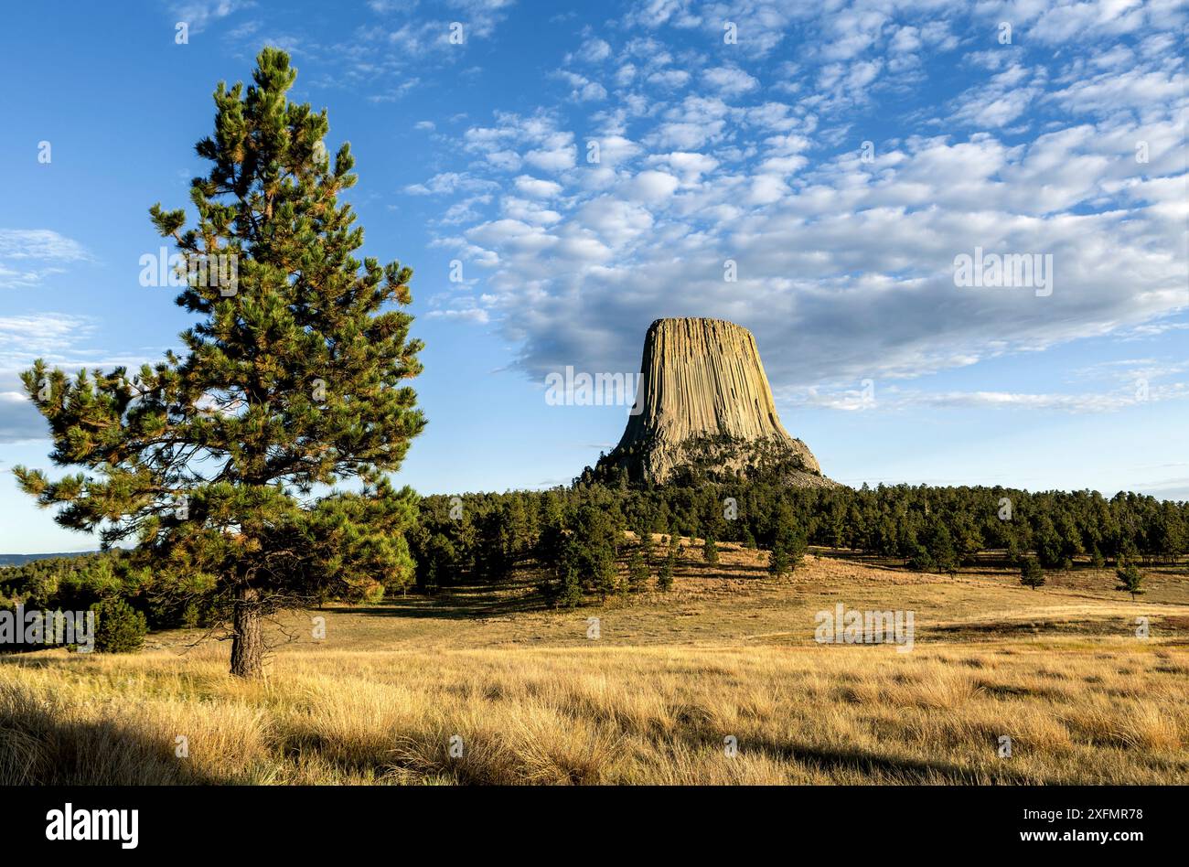 Devils Tower aus gesehen Der Joyner Ridge Loop Trail im Devils Tower National Monument, Wyoming, USA. September 2016. Stockfoto