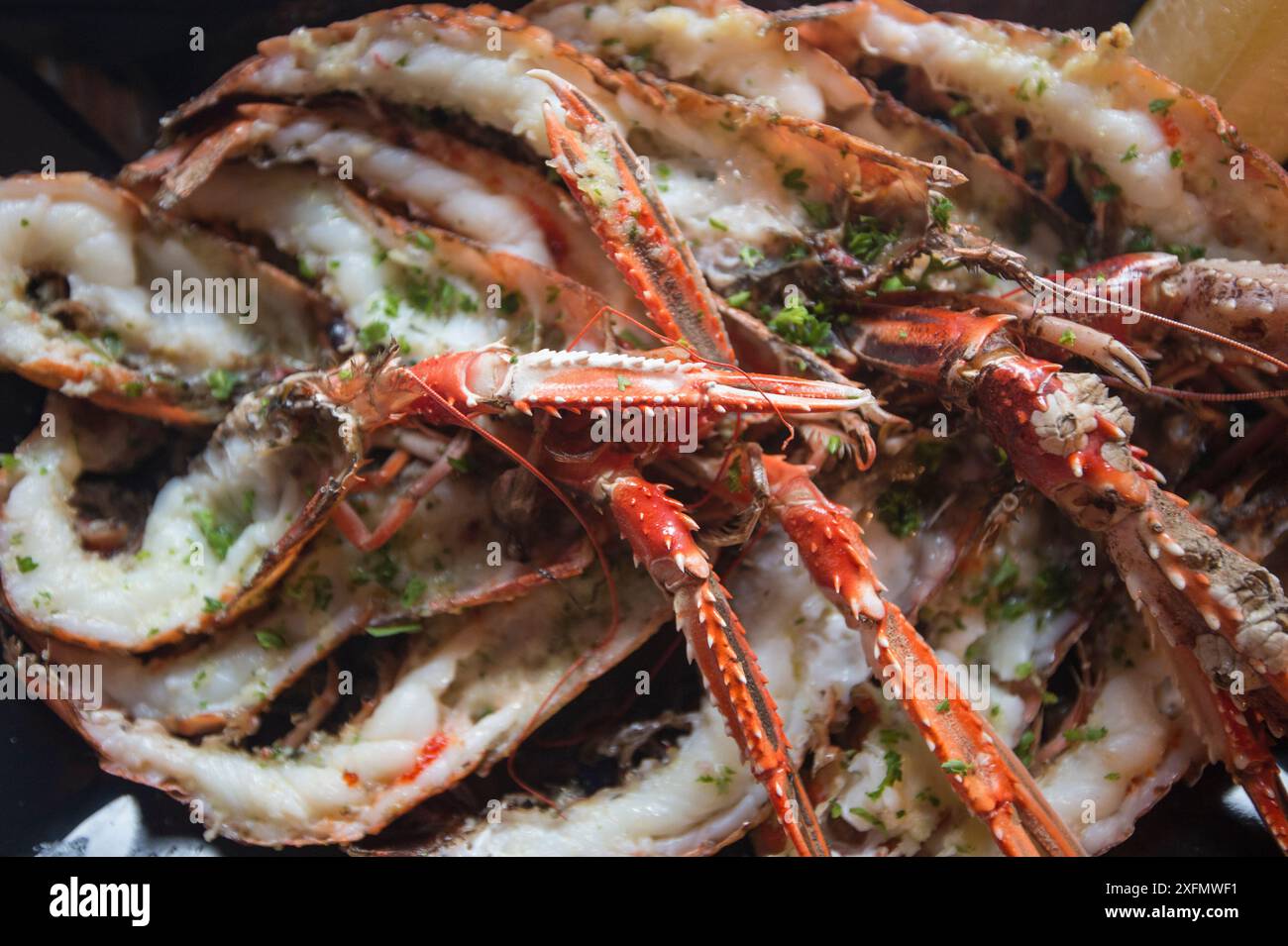 Mahlzeit von Langusten/Kaisergranat (Nephrops norvegicus) in einem Restaurant auf der Insel Arran, gefangen in Lamlash Bay, South Arran Marine Protected Area, Schottland, Großbritannien, August 2016. Stockfoto