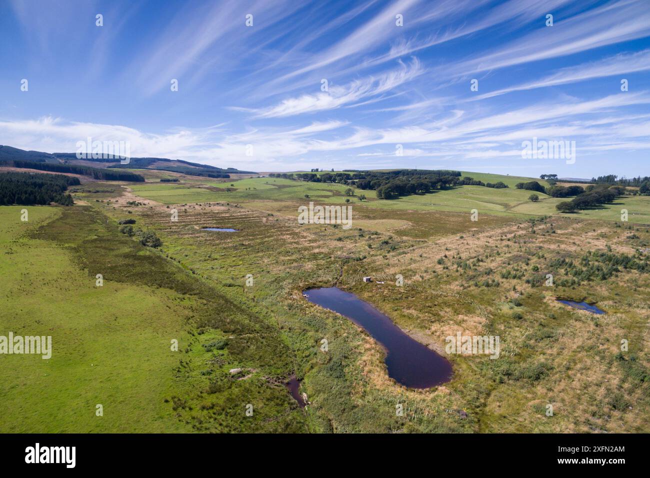 Im Wassereinzugsgebiet von Eddleston wurden Speicherteiche angelegt, um bei starken Regenfällen Wasser zu speichern. Teil des Eddleston Water Project, einem Hochwassermanagementprojekt unter der Leitung von Tweed Forum, Peebles, Tweeddale, Schottland, Vereinigtes Königreich, August 2016. Stockfoto