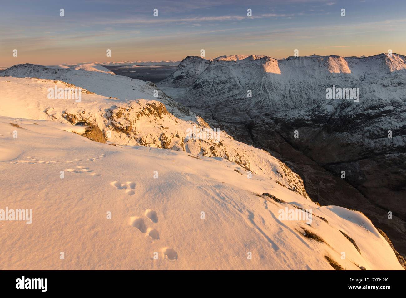 Hasenwanderwege im Schnee am Bodach, mit Blick nach Südosten nach Stob nan Cabar und Buachaille Etive Beag, Glen Coe, Lochaber, Schottland, Großbritannien, November Stockfoto