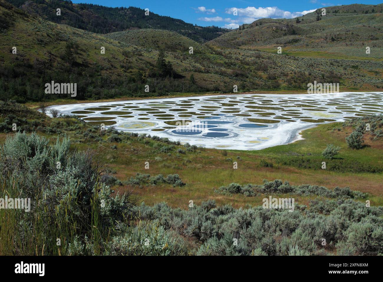 See, eine Kochsalzlösung endorheic Alkali Lake, ein Medizin See für die Okanagan Syilx Menschen, British Columbia, Kanada, Juli beschmutzt. Stockfoto