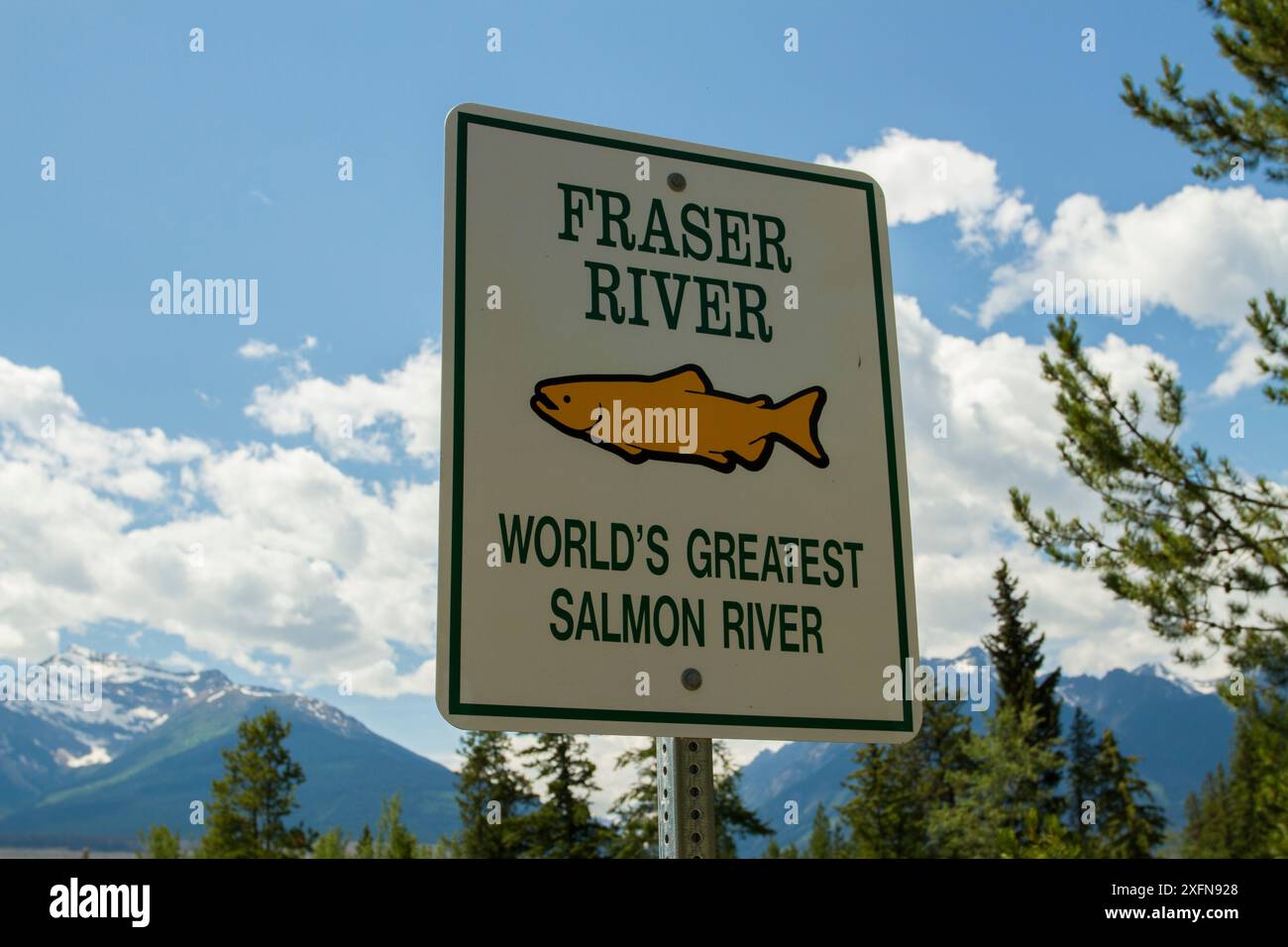 Fraser River Lachs River Schild, British Columbia, Kanada, Juli. Stockfoto