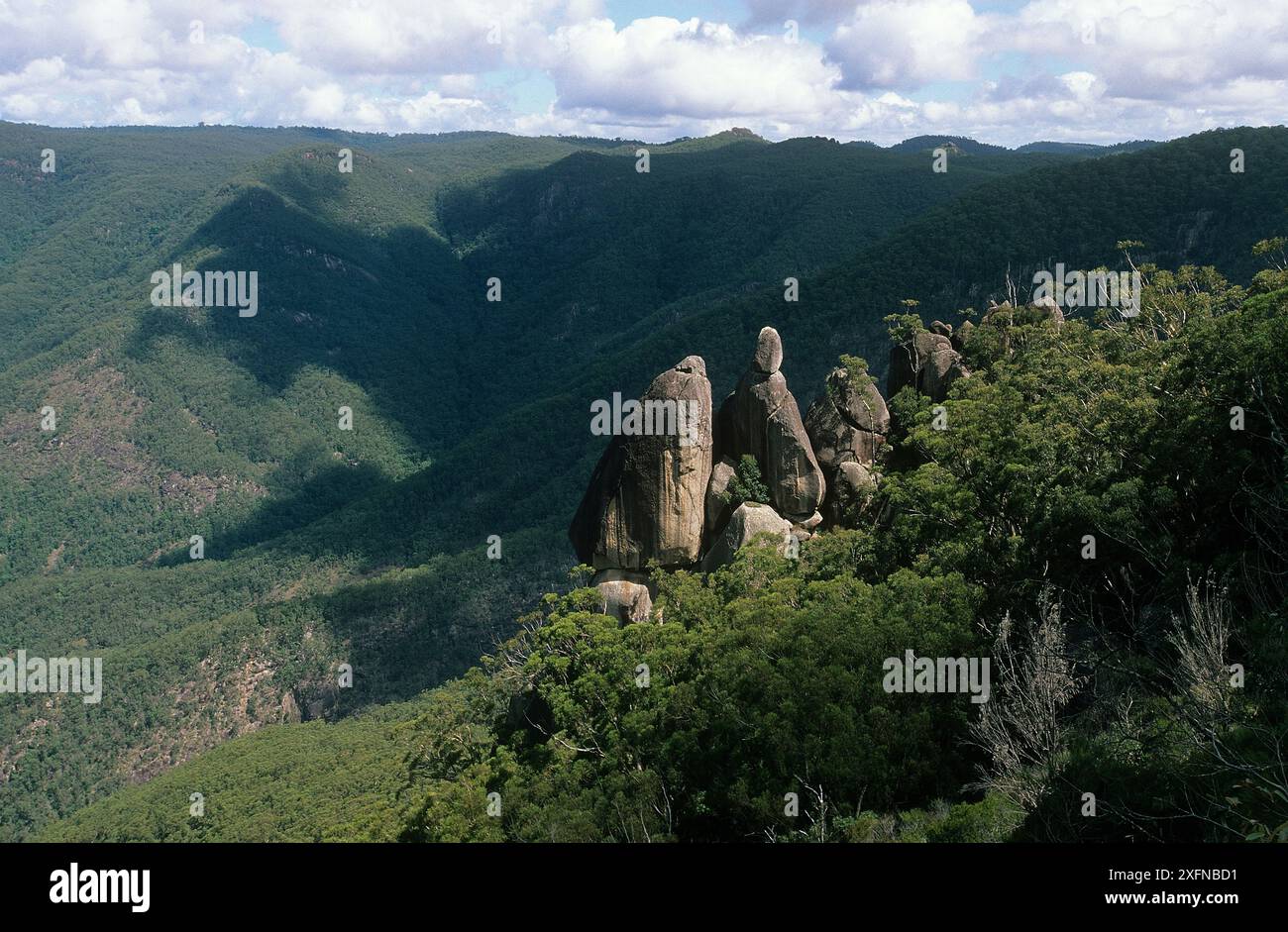 The Needles, Gibraltar Range National Park, Gondwana Rainforest UNESCO-Weltkulturerbe, New South Wales, Australien. Stockfoto