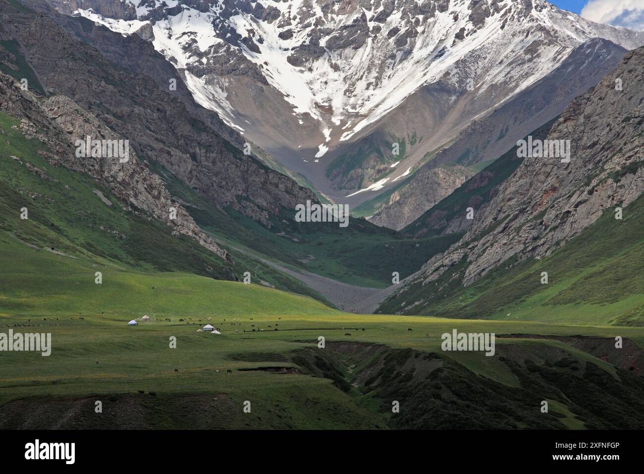 Naryn Range, Inner Tien-Shan Region, Western Tien-Shan UNESCO-Weltkulturerbe, Kirgisistan Republik, Juni 2016 Stockfoto