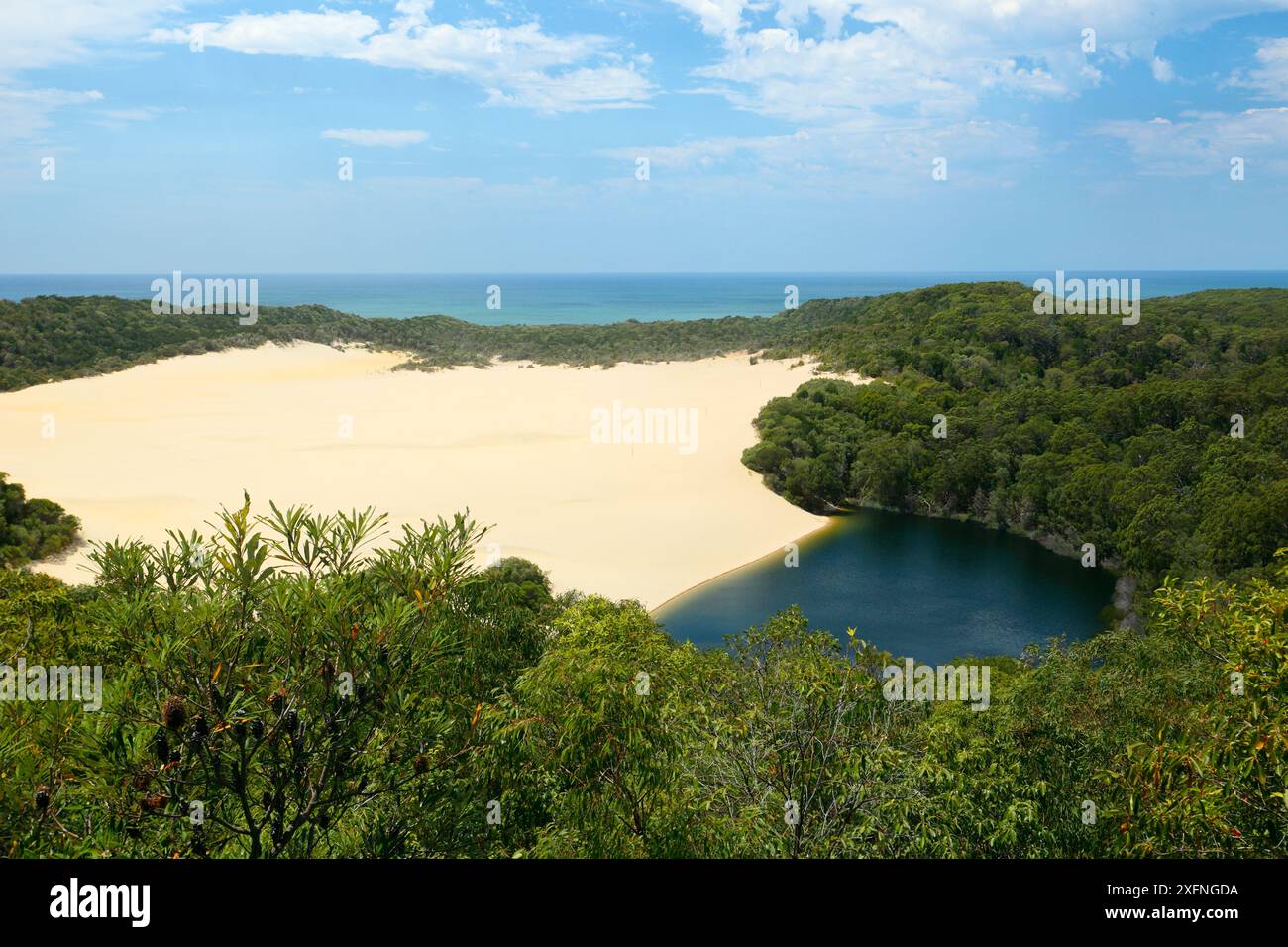 Lake Wabby zwischen Sanddünen und Wald. Fraser Island UNESCO-Weltkulturerbe. Queensland, Australien, November. Stockfoto