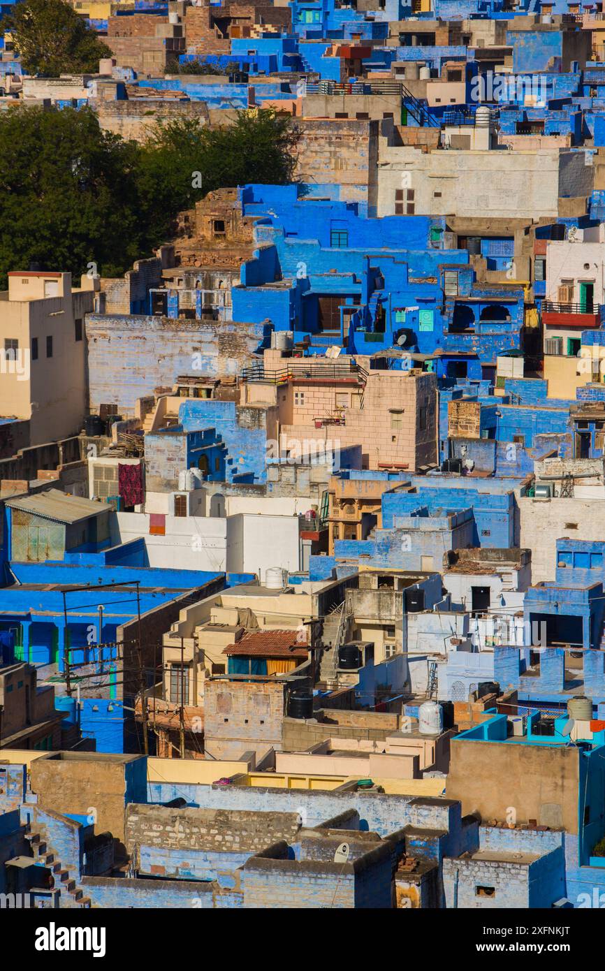 Luftaufnahme der Blauen Stadt, Jodhpur, Rajasthan, Indien. Stockfoto