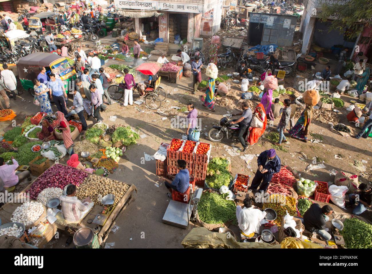 Obst- und Gemüsemarkt in der Altstadt, Jaipur, Rajasthan, Indien, Asien. März 2015 Stockfoto