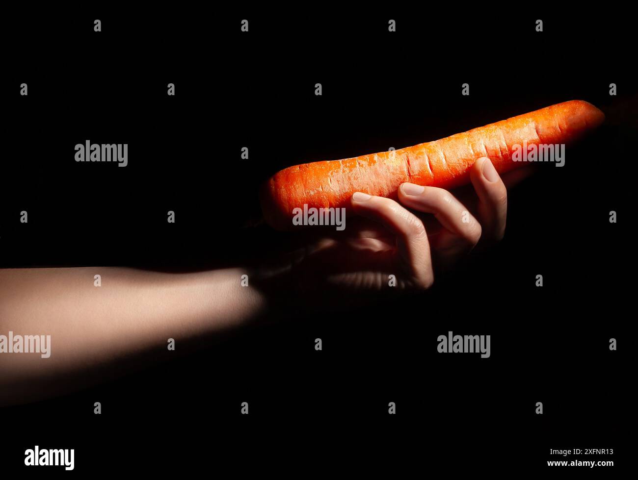 Karotte in der Hand auf schwarzem Hintergrund Stockfoto