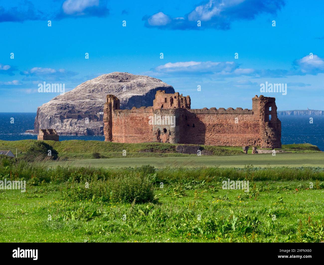 Tantallon Castle and the Bass Rock, East Lothian, Schottland, Großbritannien, Juni 2017. Stockfoto