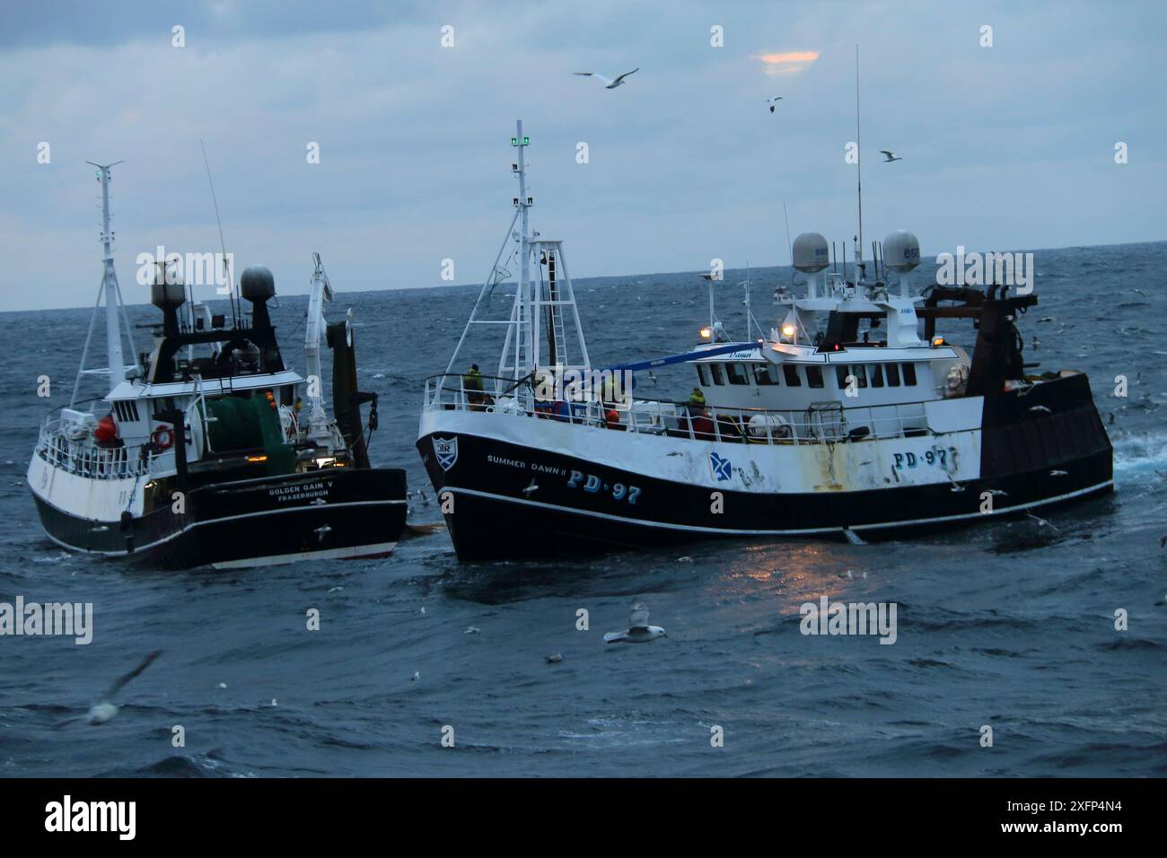 Zwei Schleppnetzfischboote, die Fänge an Bord transportieren, Nordsee, Oktober 2016. Stockfoto