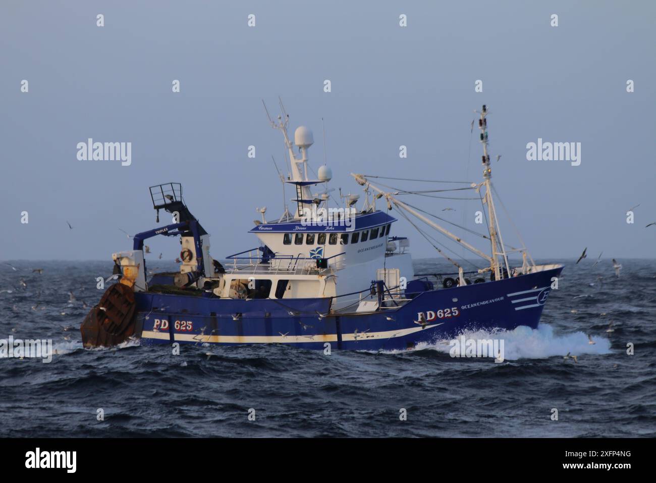 Fischereifahrzeug 'Ocean Endeavour', das in die Fanggründe der Nordsee fährt. November 2016. Stockfoto