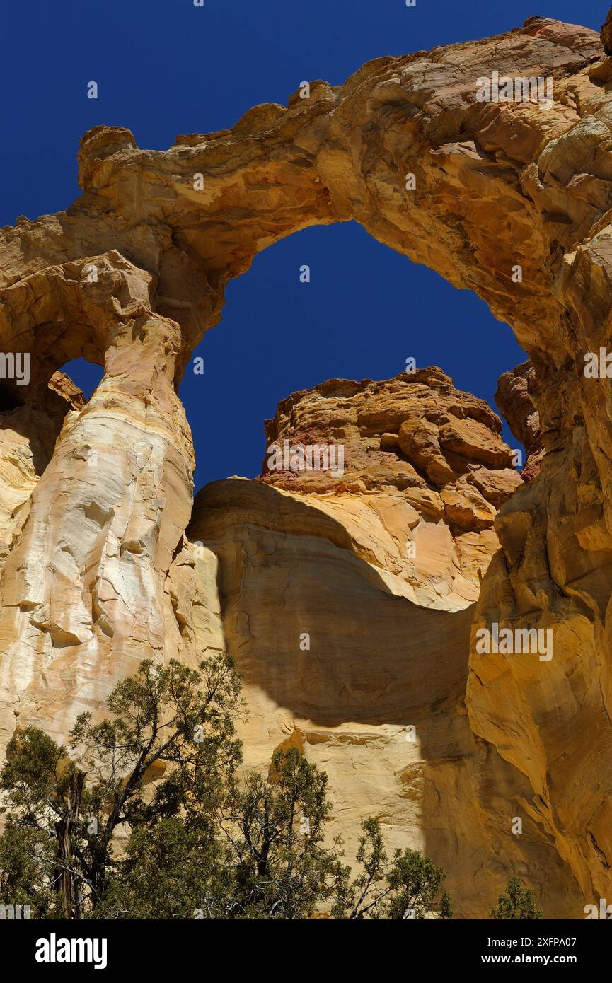 Grosvenor Arch, Cottonwood Road, Grand Staircase-Escalante National Monument, Utah, USA, März 2014. Stockfoto