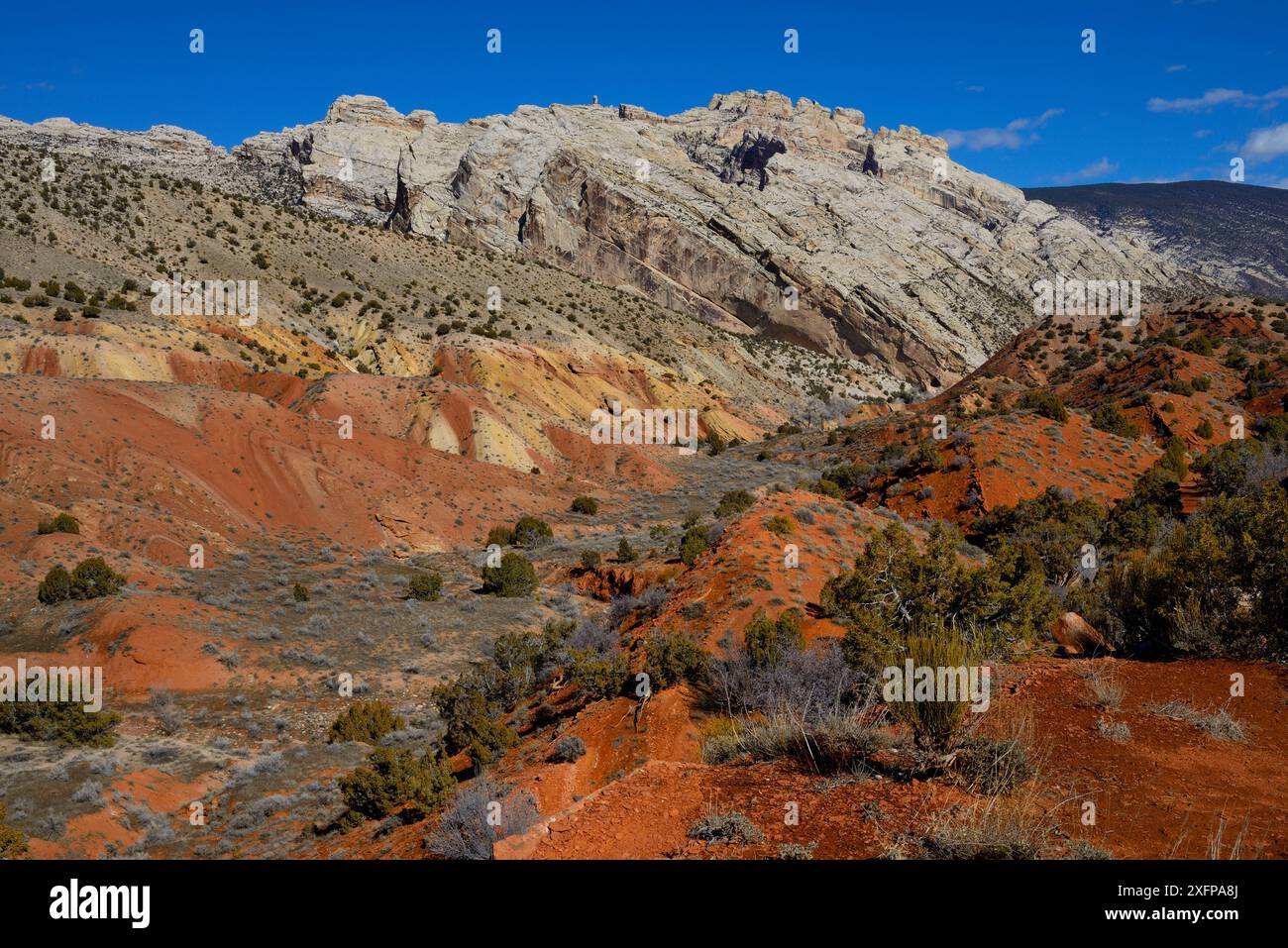 Landscape of Dinosaur National Monument, Utah, USA, März 2014. Stockfoto