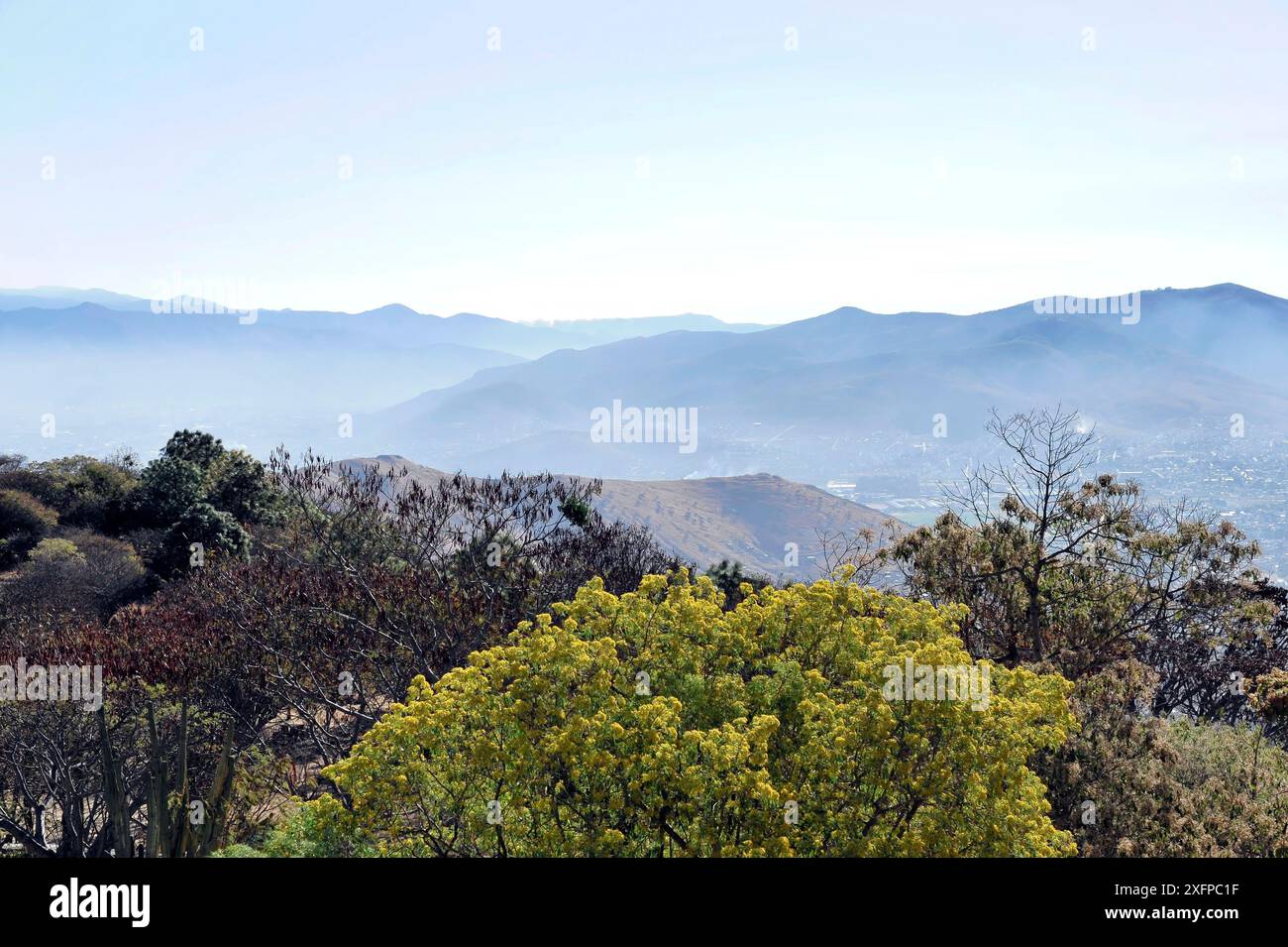 UNESCO-Weltkulturerbe Monte Alban, Oaxaca, Mexiko, Mittelamerika, Panoramablick auf eine bergige Landschaft mit Wald und Hügeln unter einem blauen Himmel Stockfoto