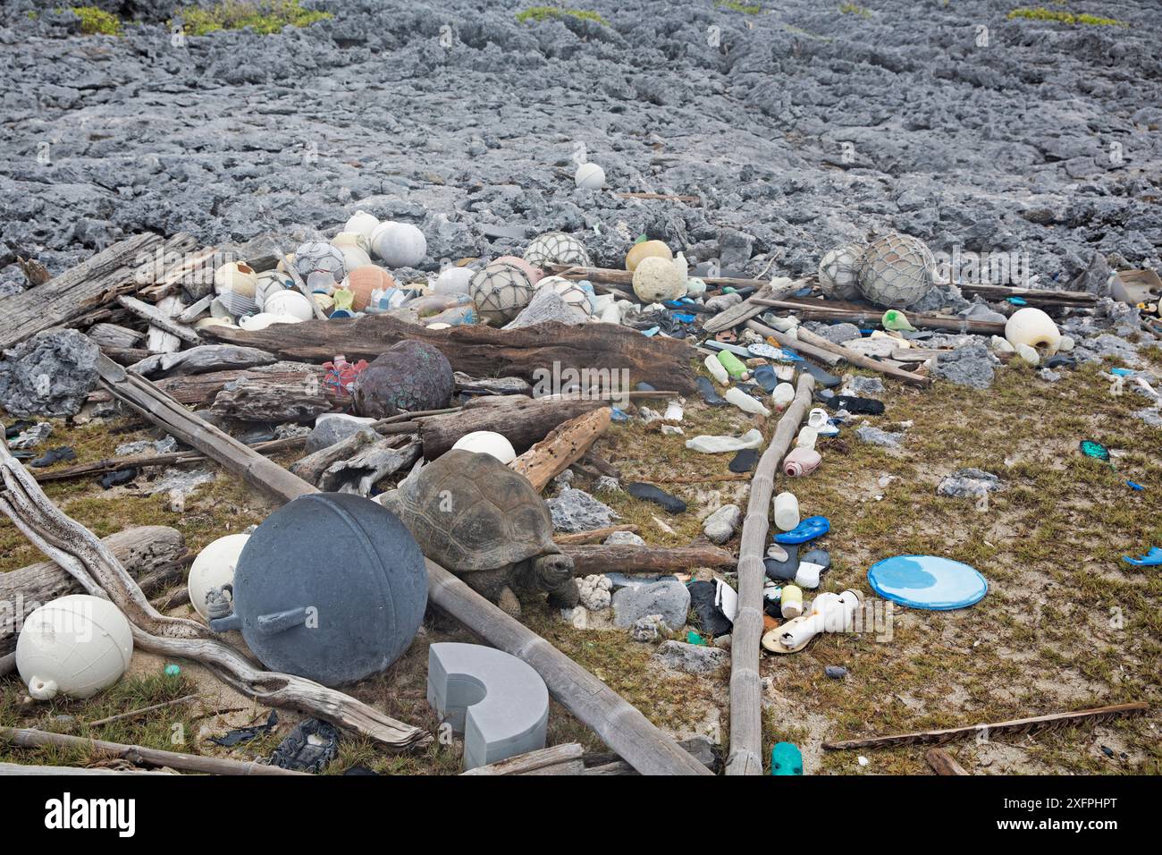 Meeresmüll - meistens Schuhe (Flipflops) und Plastikflaschen, die an Land mit Aldabra Riesenschildkröte (Aldabrachelys gigantea) gespült wurden. Cinq-Fälle, Aldabra Island, Indischer Ozean Stockfoto