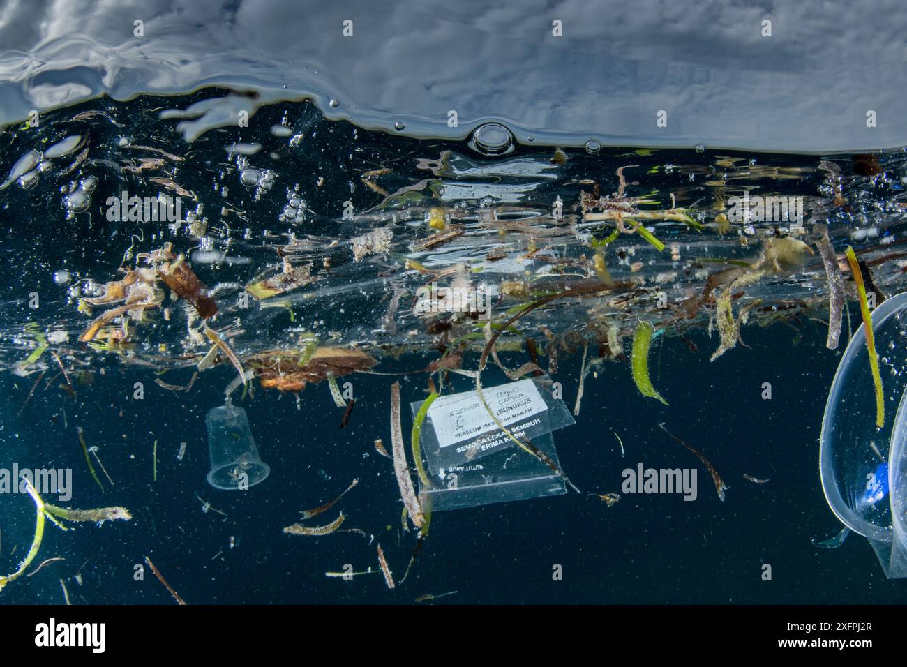 Plastikmüll, der im Meer schwimmt, kleine Sunda-Inseln, Indonesien Stockfoto