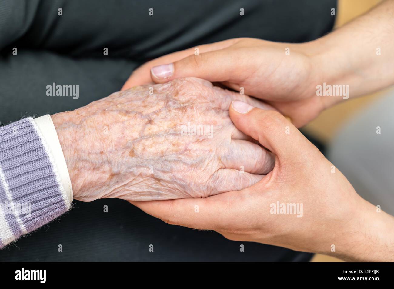 Helfer-Hände-Pflege-Konzept. Hochwertiges Foto Stockfoto