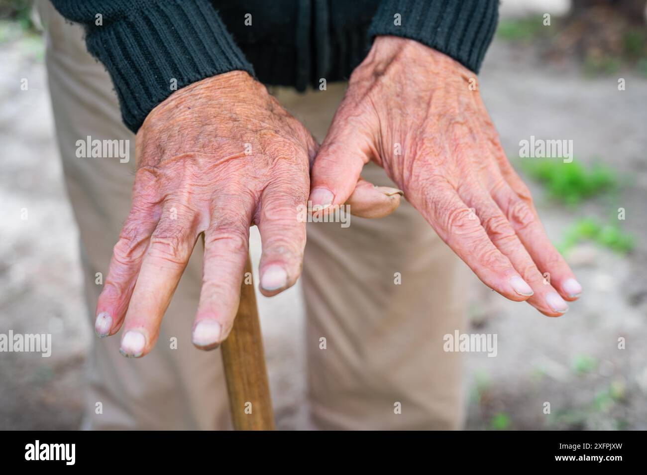 Älterer Mann pflegt Pflanzen im Garten des Pflegeheims für den Ruhestand. Hochwertiges Foto Stockfoto