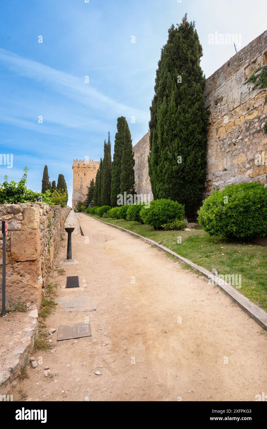 Ein Blick auf den archäologischen Spaziergang mit monumentalen römischen Mauern in Tarragona, Spanien. Hochwertige Fotografie Stockfoto