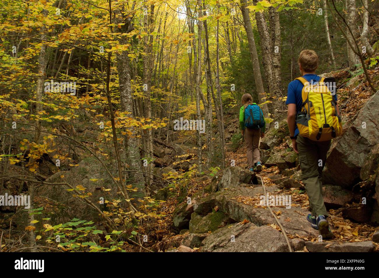 Junge und Mädchen Wandern im Wald, Acadia National Park, Maine, USA. Oktober 2013. Modell freigegeben. Stockfoto