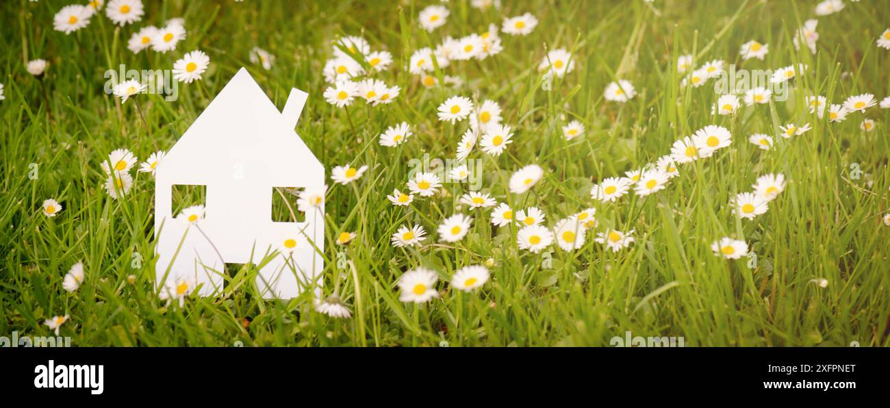 Haus auf einer Wiese mit Gänseblümchen, Kauf oder Miete eines Hauses in der Natur, Immobilienkonzept Stockfoto