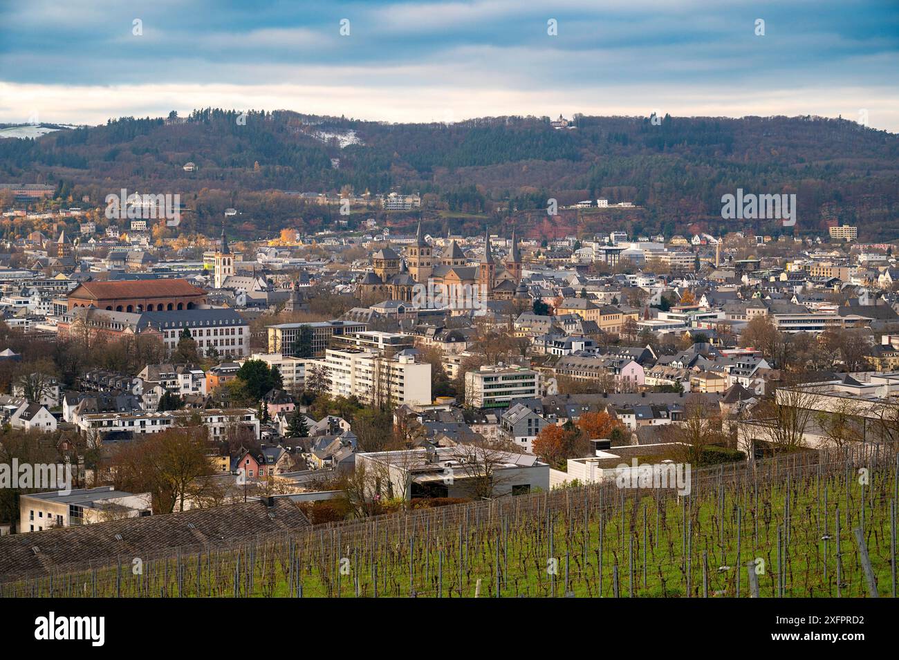 Weinberg mit Blick auf die antike römische Stadt Trier, das Moseltal in Deutschland, Landschaft im rheinland-palatin Stockfoto