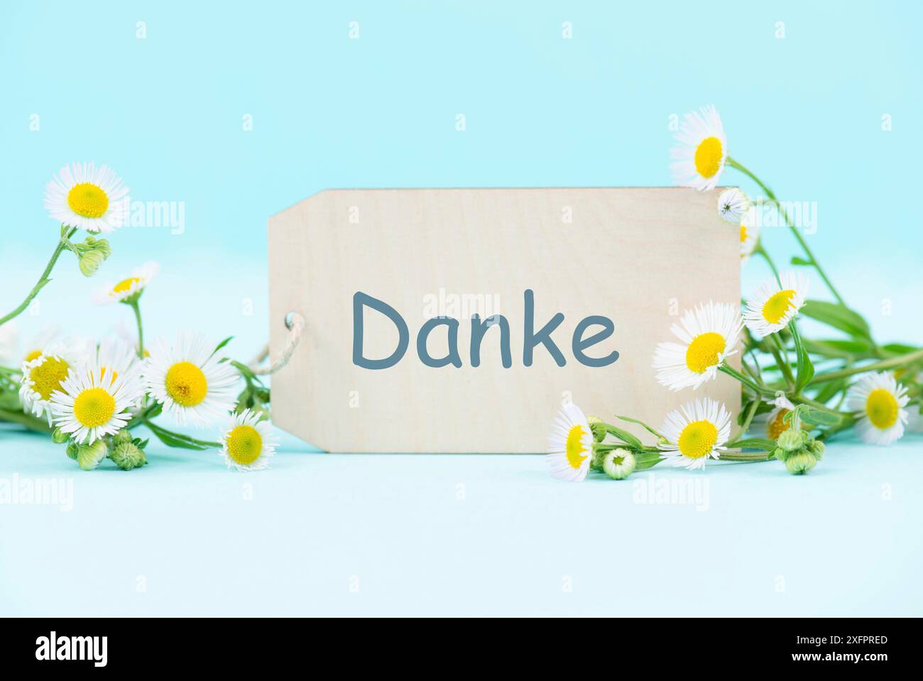 Dankeskarte mit Blumen, deutscher Sprache, Dankbarkeit, Unterstützung, Hilfe und Wohltätigkeitskonzept, positive Einstellung Stockfoto