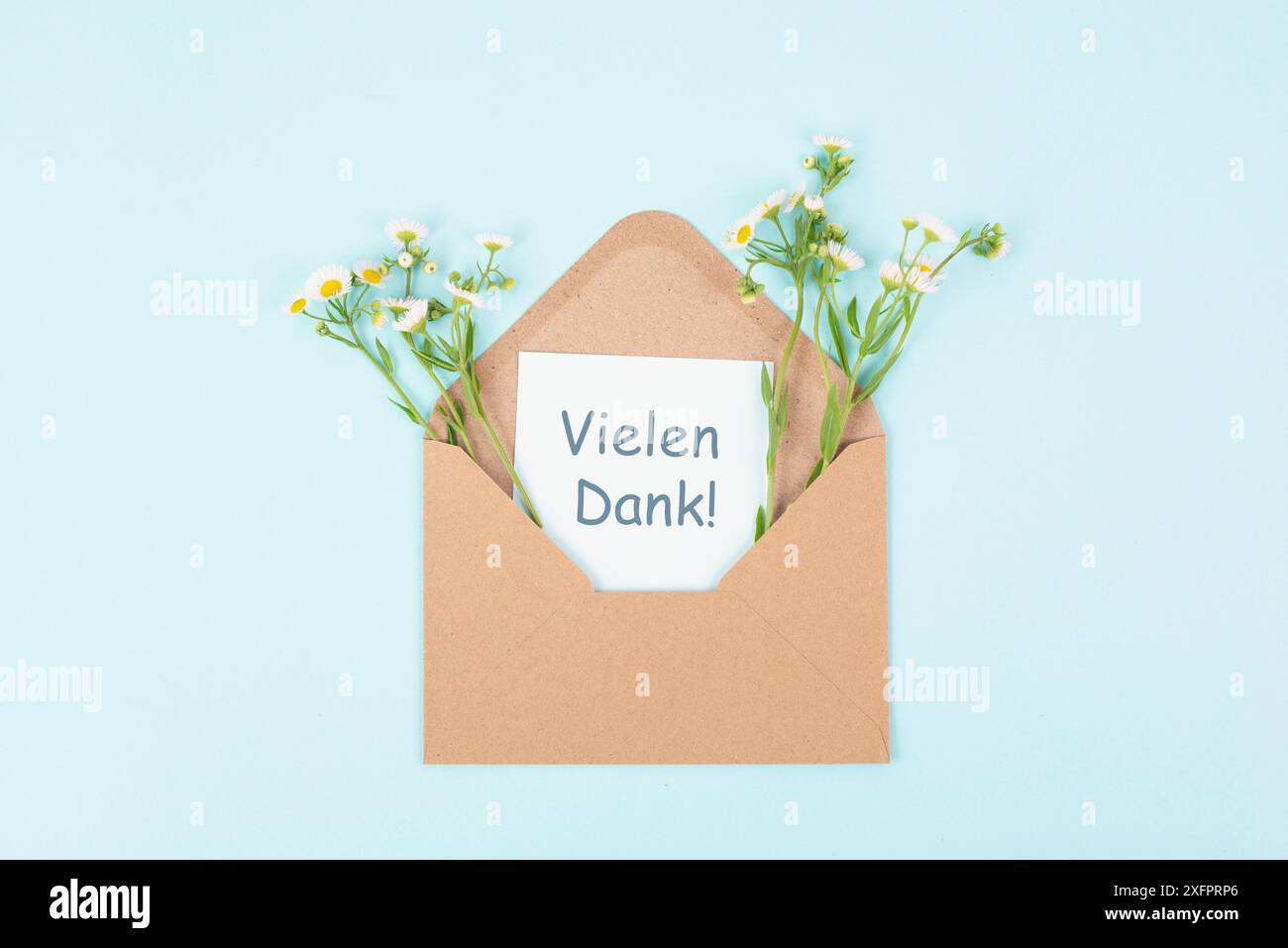 Dankeskarte, deutsche Sprache, Umschlag umgeben von Frühlingsblumen, dankbar sein, Unterstützung, Hilfe und Wohltätigkeitskonzept, positive Einstellung Stockfoto