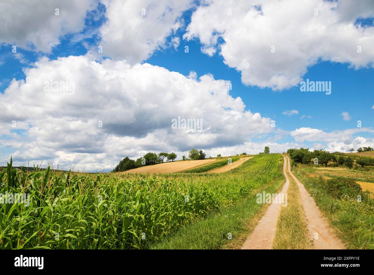 Beeindruckende Wolken über Land Stockfoto