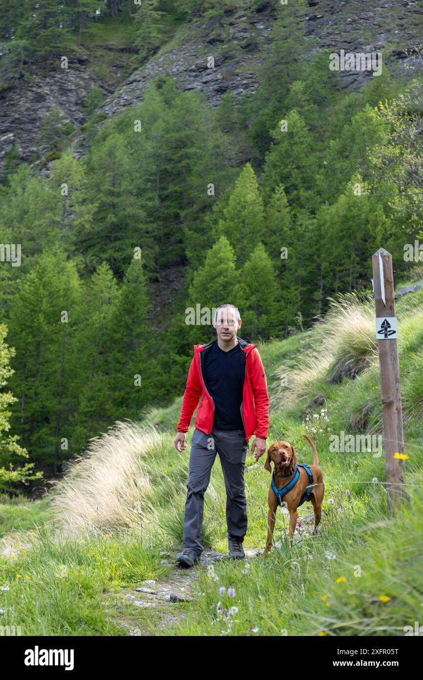 Mann mit Vizsla Wandern, Bardonecchia, Piemont, Italien Stockfoto