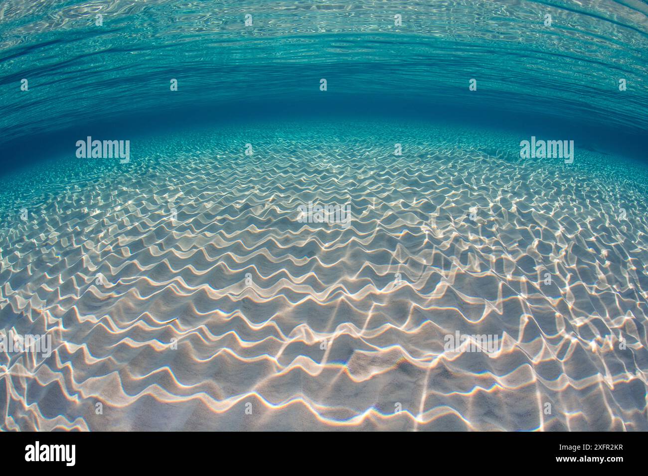 Sonnenstrahlen tanzen auf einem flachen, sandigen Meeresboden. Stingray City, Grand Cayman, Cayman Islands, British West Indies. Karibik. Stockfoto