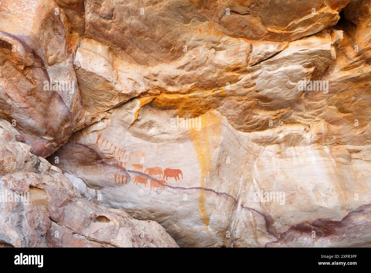 San Felsenmalereien von Elefanten und Menschen, Cederberg Wilderness, Südafrika Stockfoto