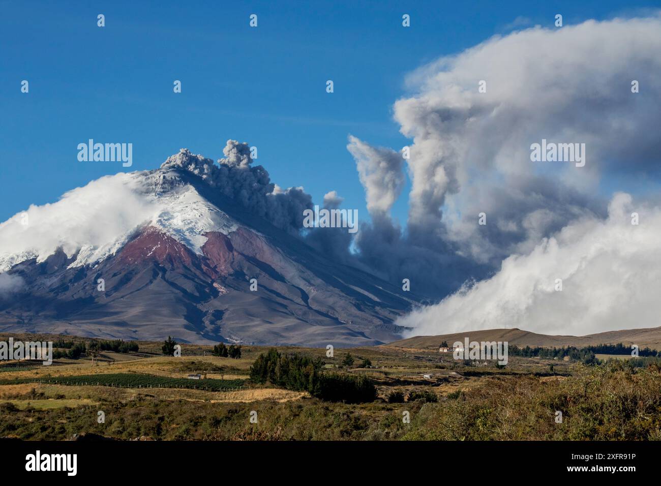 Cotopaxi Vulkan mit Aschewolke aus Eruption, Cotopaxi Nationalpark, Cotopaxi, Ecuador, August 2015. Stockfoto