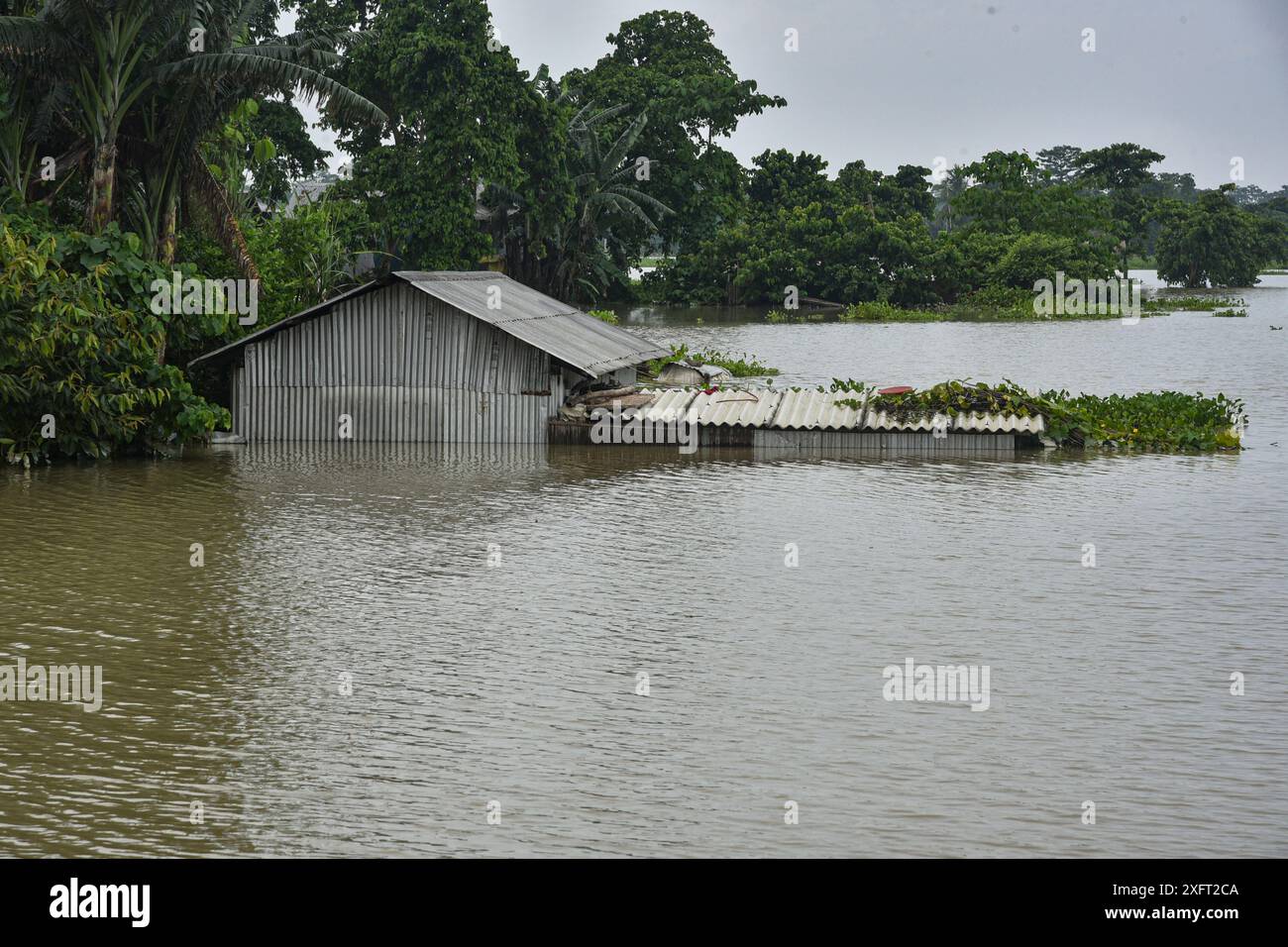 Morigaon, Assam, Indien. Juli 2024. MORIGAON, ASSAM, INDIEN-04. JULI 2024: Unterwasserhaus bei Hochwasser in einem Hochwassergebiet im Morigaon District von Assam. (Kreditbild: © Hafiz Ahmed/ZUMA Press Wire) NUR REDAKTIONELLE VERWENDUNG! Nicht für kommerzielle ZWECKE! Stockfoto