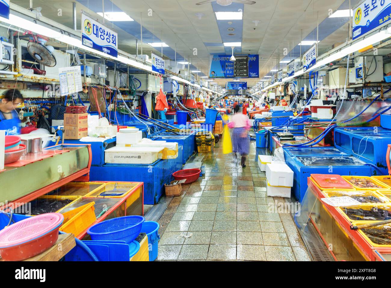 Busan, Südkorea - 7. Oktober 2017: Fantastischer Blick auf den Jagalchi Fischmarkt am Rande des Hafens von Busan am Morgen. Stockfoto