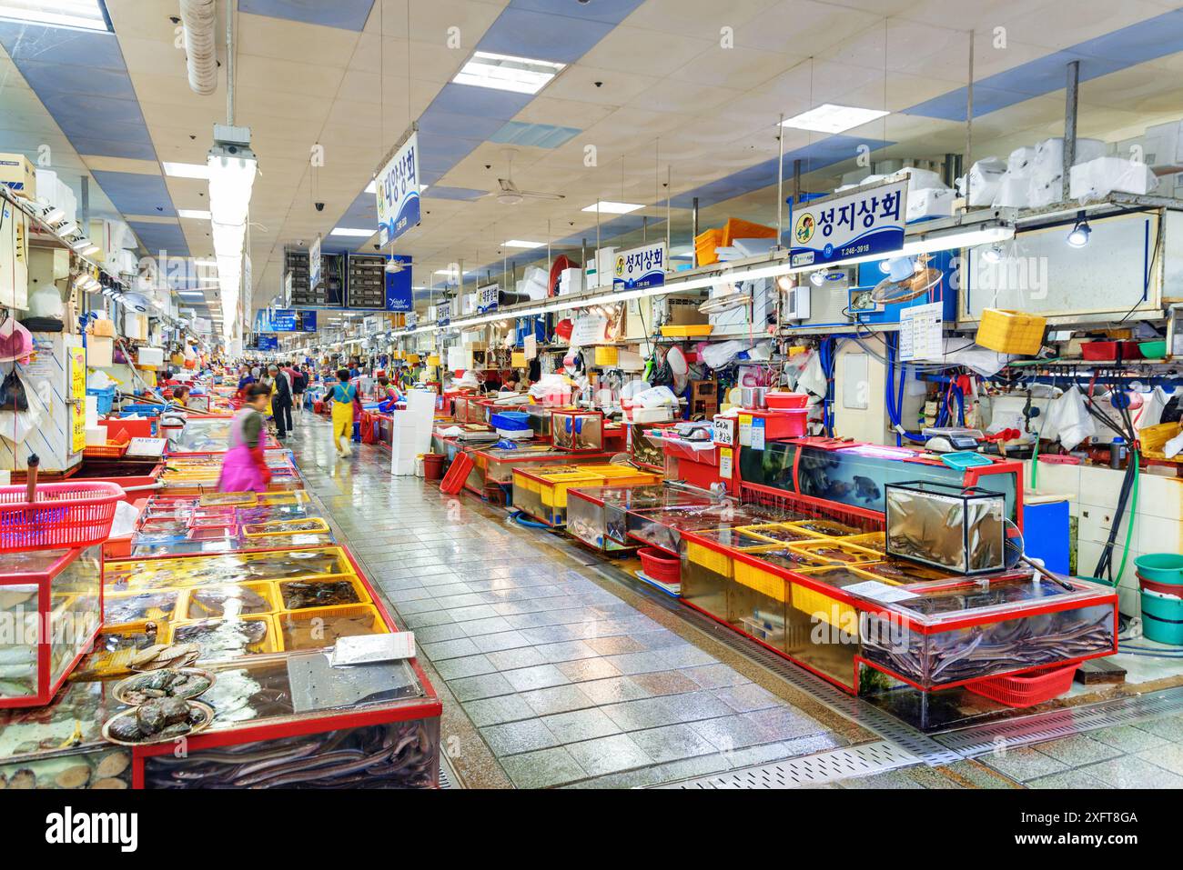 Busan, Südkorea - 7. Oktober 2017: Fantastischer Blick auf den Jagalchi Fischmarkt am Rande des Hafens von Busan am Morgen. Stockfoto