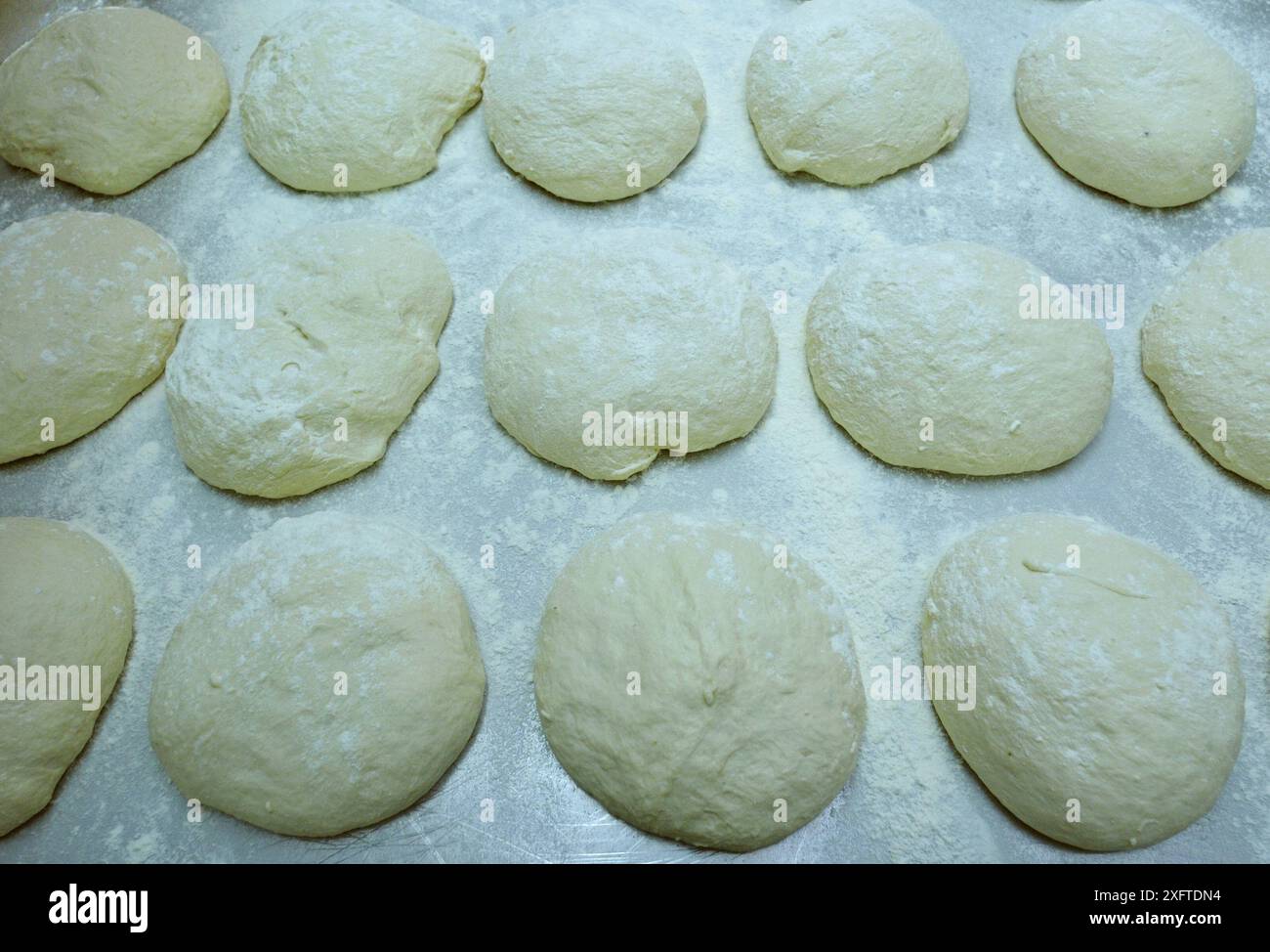 Geformter und bemehlter Teig auf Tablett zum Backen von Brötchen, holländische Bäckerei Stockfoto