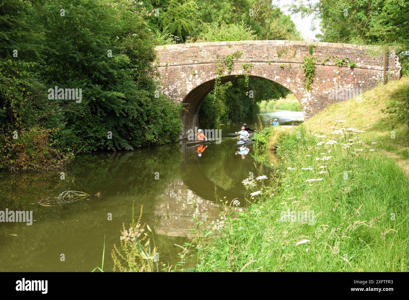 Kanufahrten auf dem Kennet und Avon Kanal unter einer Bogenbrücke in Wiltshire. UK Stockfoto