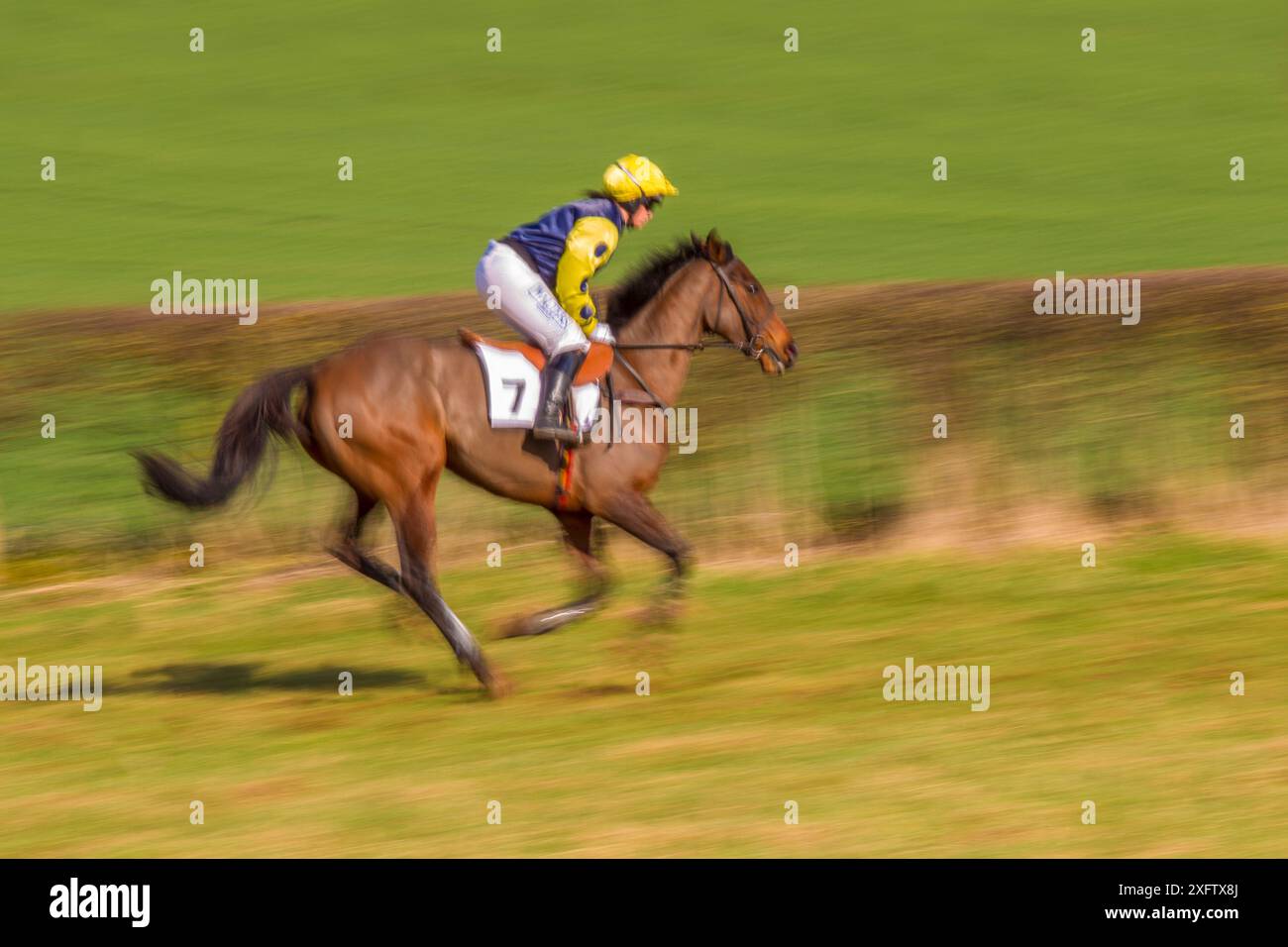 Verschwommenes Bewegungsbild eines Pferdes und Jockeygaloppiers während des Pferderennens in Itton Point-to-Point in Monmouthshire, Wales, Großbritannien. Stockfoto