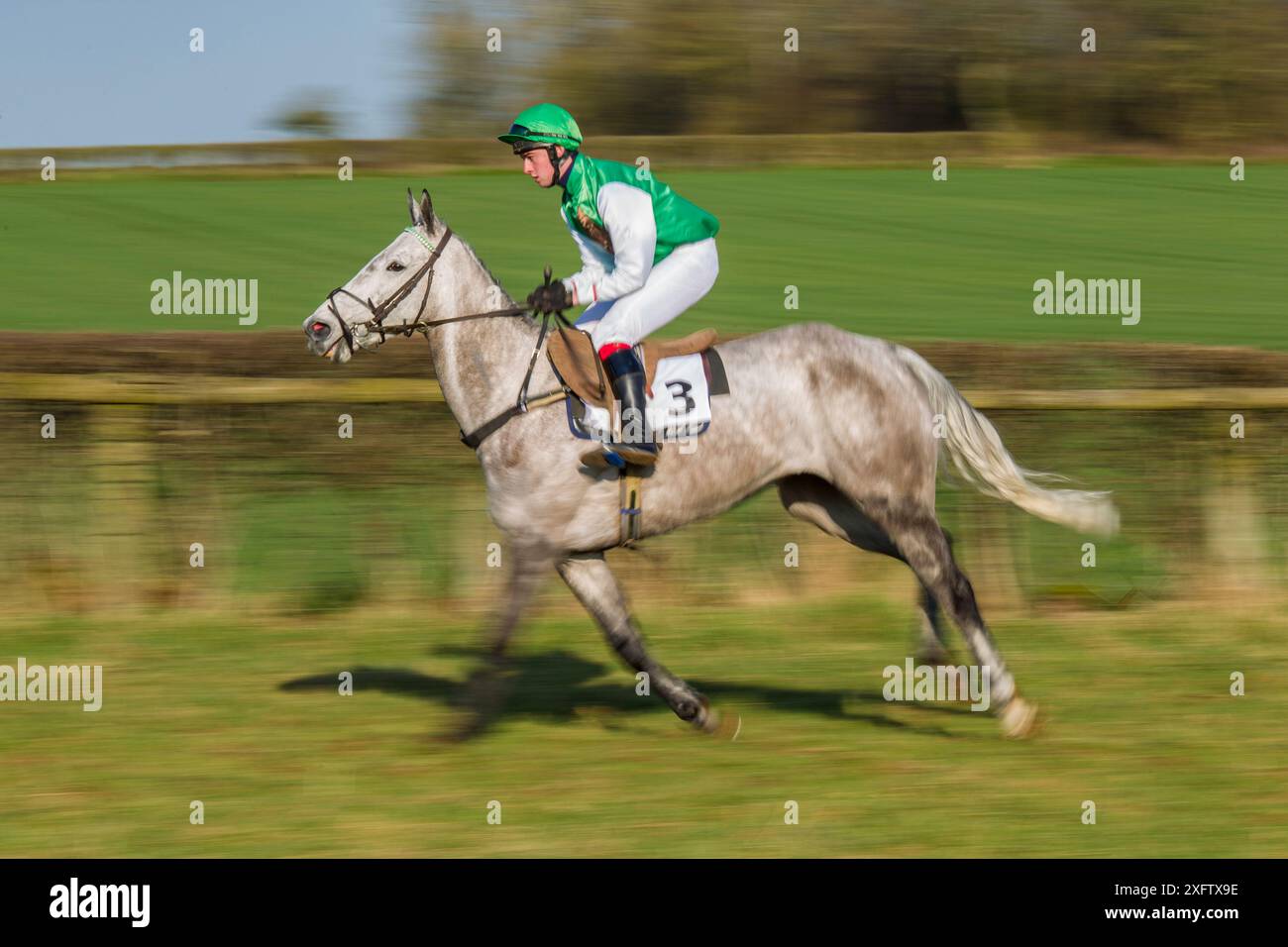 Verschwommenes Bewegungsbild von Pferd und Jockey während des Point-to-Point-Pferderennens in Itton, Monmouthshire, Wales, Großbritannien. Stockfoto