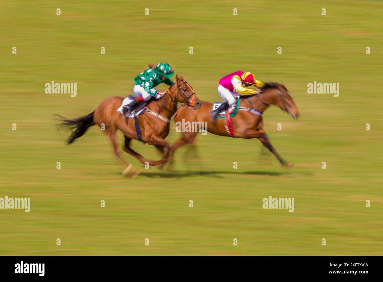 Verschwommenes Bewegungsbild von zwei Pferden mit Jockeys, die während des Point-to-Point-Pferderennens in Itton in Monmouthshire, Wales, Großbritannien galoppieren. Stockfoto