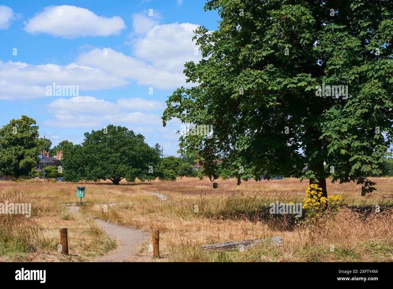 Wimbledon Common, in der Nähe von Wimbledon Village, Greater London UK, im Sommer, von Southside Common aus gesehen Stockfoto