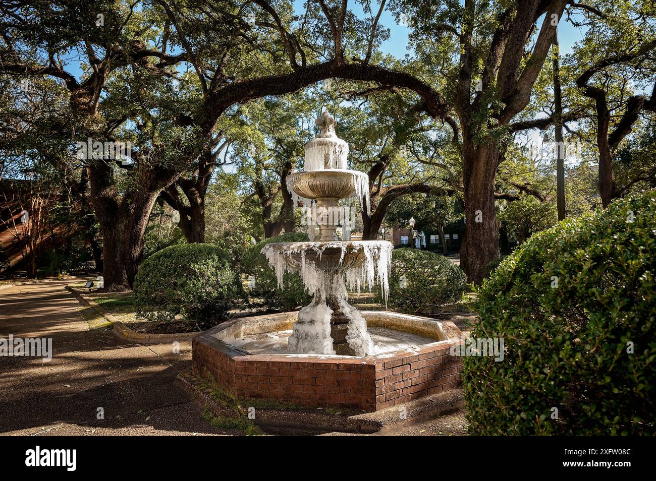 Gefrorener Brunnen in einem Park mit großen Bäumen und umliegenden Sträuchern Stockfoto