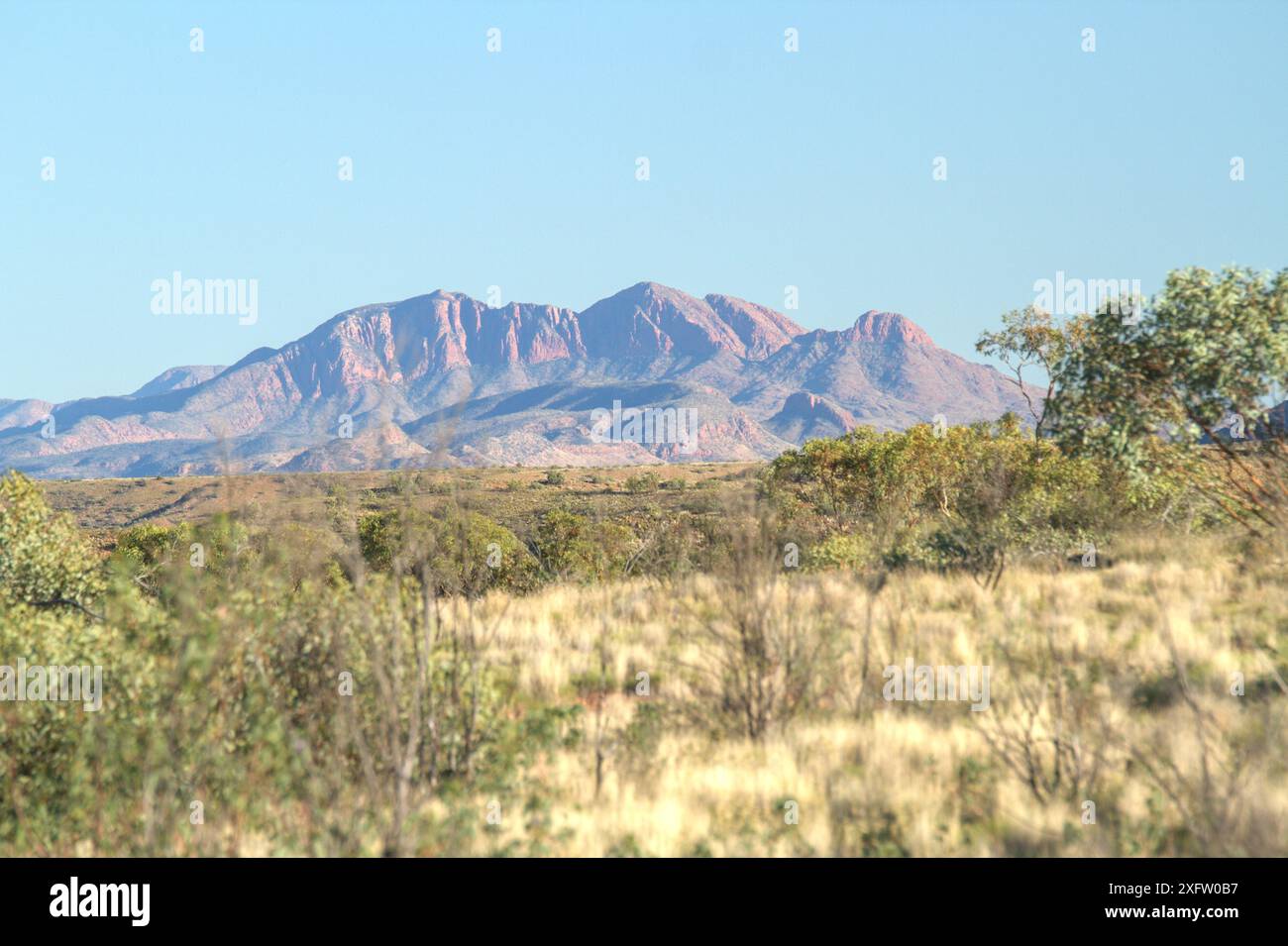 Blick auf die West Macdonnell Ranges/Tjoritja Nationalpark Stockfoto