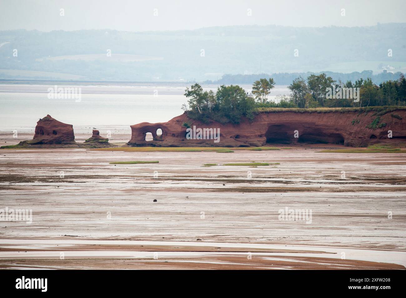 Küstenklippen bei Ebbe, Upper Bay of Fundy, Nova Scotia, Kanada, September 2017. Stockfoto