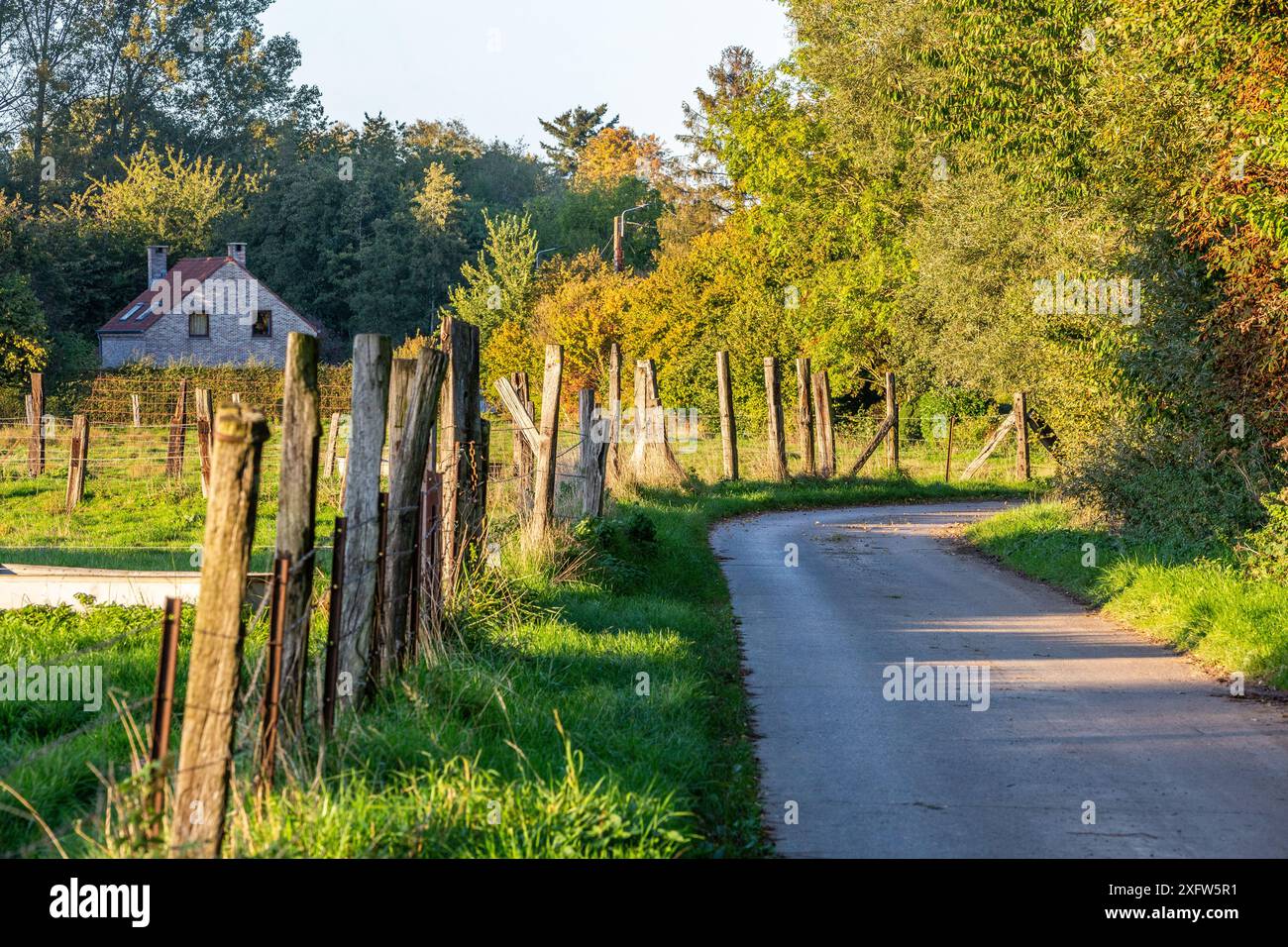 Straße am Rande eines Waldes und einer Wiese, unter dem schwindenden Licht der Nachmittagssonne des Spätherbst Stockfoto
