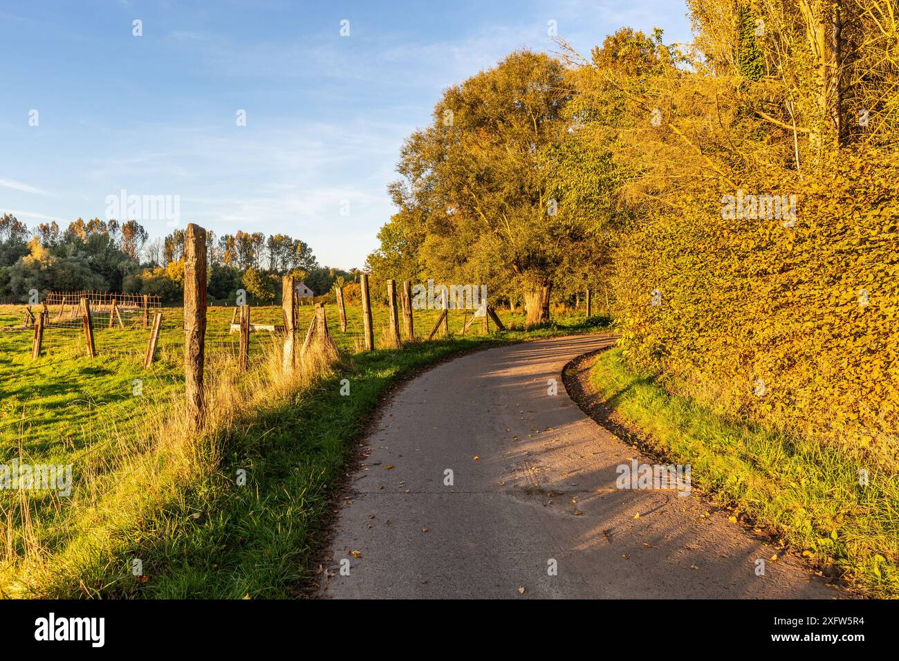 Straße am Rande eines Waldes und einer Wiese, unter dem schwindenden Licht der Nachmittagssonne des Spätherbst Stockfoto