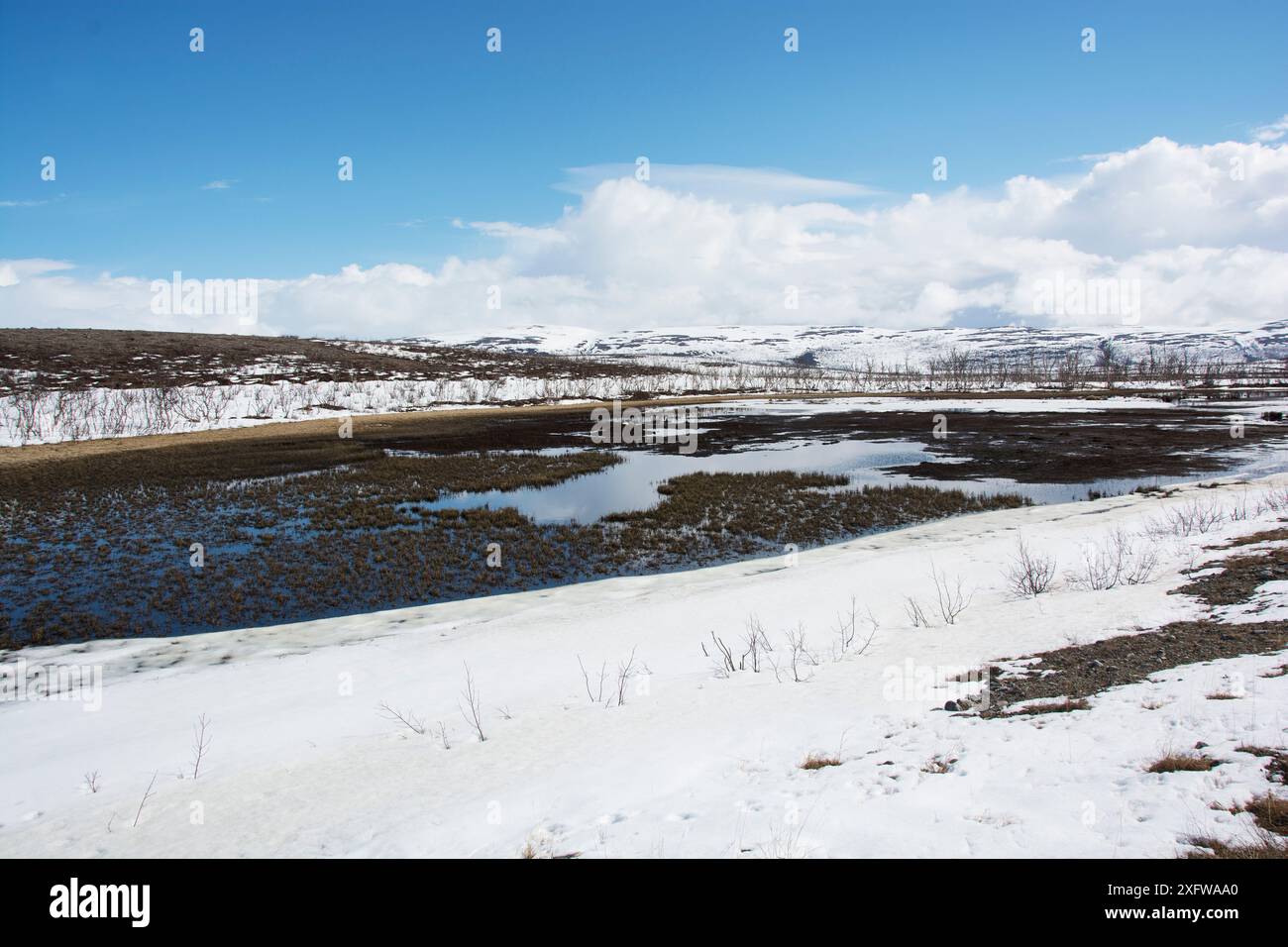 Tauender See und auftauender Sumpfhabitat aus der gefrorenen Tundra-Landschaft. Vogelschwan (Cygnus cygnus) Bruthabitat. Borselvfjellet, Finnmark, Norwegen, Juni. Stockfoto